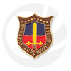 9th Marine Amphibie Brigade Pin